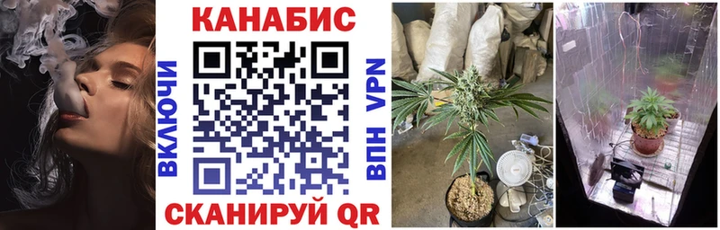 Конопля Bruce Banner  где найти наркотики  Новая Ляля 